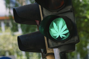 Cannabis and Hemp: Regulatory Green Light or Still a Pipe Dream?