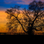 Kentucky Supreme Court Strikes Down Waiver of Claims Between Child and For-Profit Business