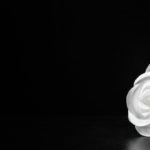 The Sole Member's Death: A Modest Proposal