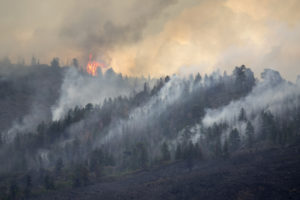 Wildfires, Renewable Resources, and Chapter 11: The Latest in the PG&E Story