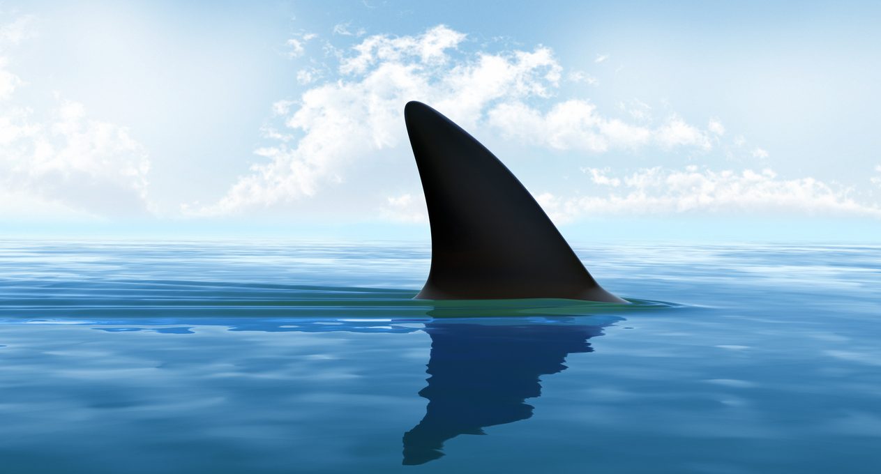 Tired of Being a Shark? Structured Negotiation Offers an Alternative