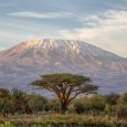 How One Lawyer Recharged This Summer: Conquering Mt. Kilimanjaro