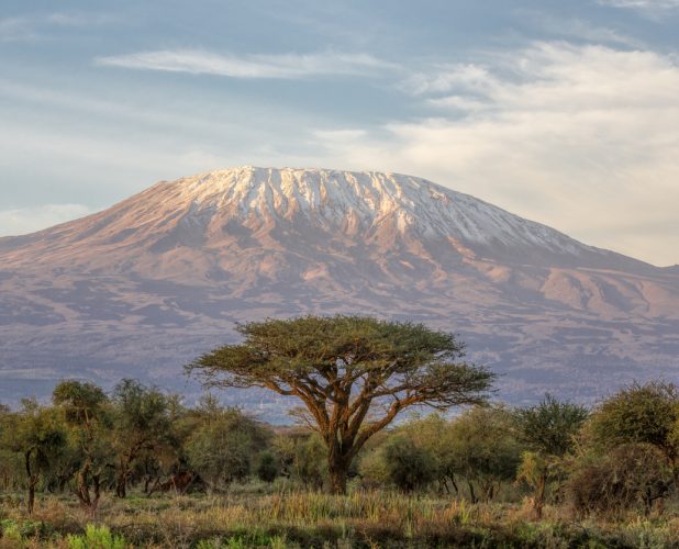 How One Lawyer Recharged This Summer: Conquering Mt. Kilimanjaro