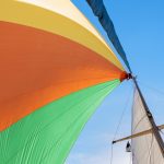 Navigating Partner Transitions in Professional Service Firms
