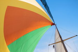 Navigating Partner Transitions in Professional Service Firms