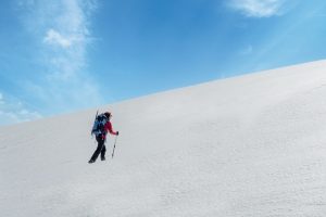 Identifying and Conquering Impediments for Getting Pro Bono Volunteers