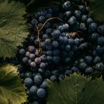 Be Fruitful and Multiply: Pursuing Diminution in Value Damages With Respect to RWI Policy Claims—Part II
