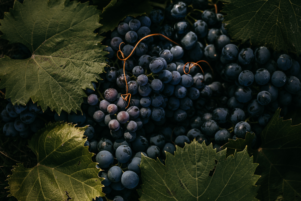 Page 8 – Business Law Today from ABA