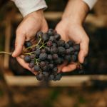 Be Fruitful and Multiply: Pursuing Diminution in Value Damages With Respect to RWI Policy Claims—Part III