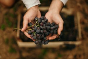 Be Fruitful and Multiply: Pursuing Diminution in Value Damages With Respect to RWI Policy Claims—Part III