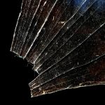 Understanding IP Damages, Part 1: Trademark Law
