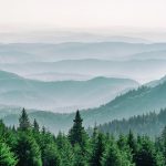 Cross-Border Discovery: Why Local Counsel Is Indispensable