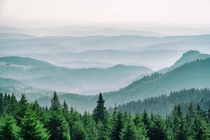 Cross-Border Discovery: Why Local Counsel Is Indispensable