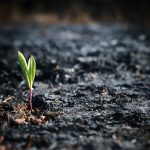 Outdated Cybersecurity Practices: Why the Legal Market Must Evolve