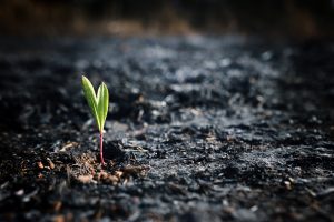 Outdated Cybersecurity Practices: Why the Legal Market Must Evolve