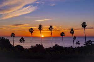 The Direct Democracy Tax Credit: Giving Power Back to California Taxpayers