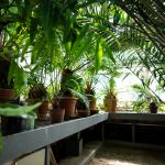Green Thumb Lighting: EDPABC Bankruptcy Case Problem Series