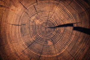 Immigration Due Diligence: A Core Requirement in Corporate Transactions