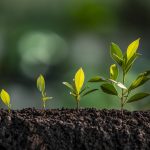 Unrecognized Value Creation: How In-House Legal Enables Customers