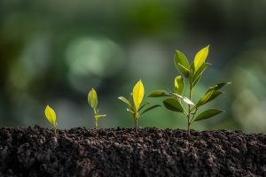 Unrecognized Value Creation: How In-House Legal Enables Customers