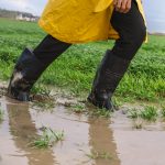 The Muddy Bog That Is Successor Liability in U.S. Distressed Asset Purchase Transactions