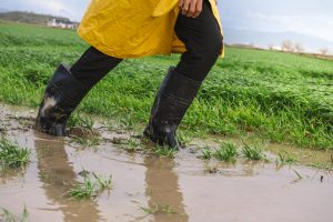 The Muddy Bog That Is Successor Liability in U.S. Distressed Asset Purchase Transactions
