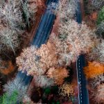 40 Years of the M&A Committee: Developments in International M&A