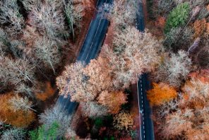 40 Years of the M&A Committee: Developments in International M&A