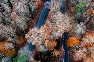40 Years of the M&A Committee: Developments in International M&A
