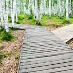 40 Years of the M&A Committee: Developments in M&A Market Trends