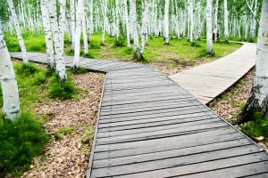 40 Years of the M&A Committee: Developments in M&A Market Trends