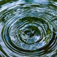 Investing in High-Impact Pro Bono Projects as a Transactional Lawyer