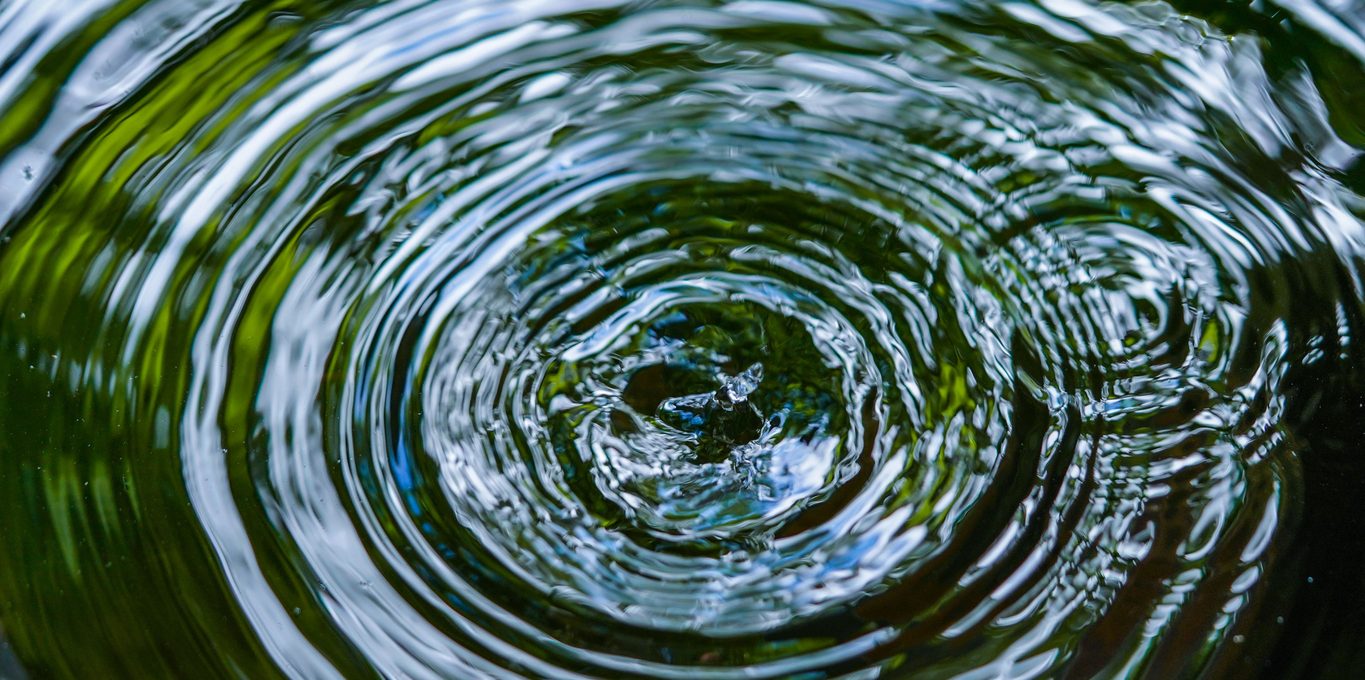 Investing in High-Impact Pro Bono Projects as a Transactional Lawyer