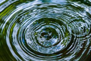 Investing in High-Impact Pro Bono Projects as a Transactional Lawyer
