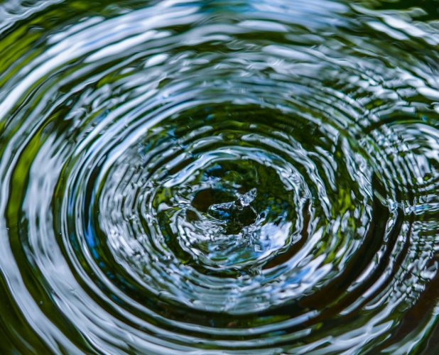 Investing in High-Impact Pro Bono Projects as a Transactional Lawyer