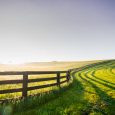 Is Now the Time to Convert Your Farming Partnership to an LLC or S Corporation?