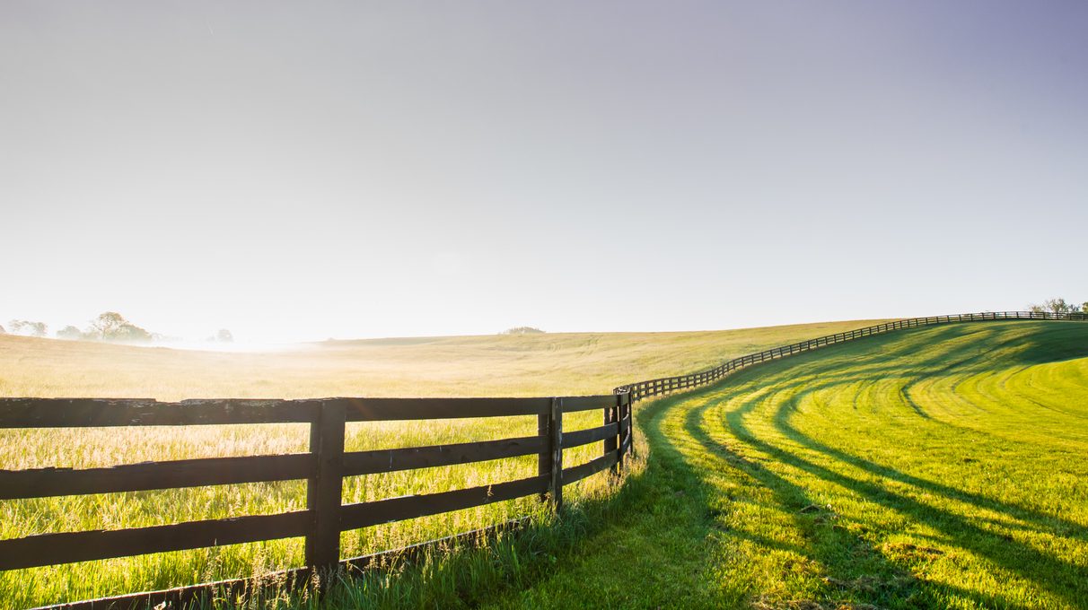 Is Now the Time to Convert Your Farming Partnership to an LLC or S Corporation?