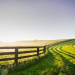 Is Now the Time to Convert Your Farming Partnership to an LLC or S Corporation?