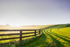 Is Now the Time to Convert Your Farming Partnership to an LLC or S Corporation?