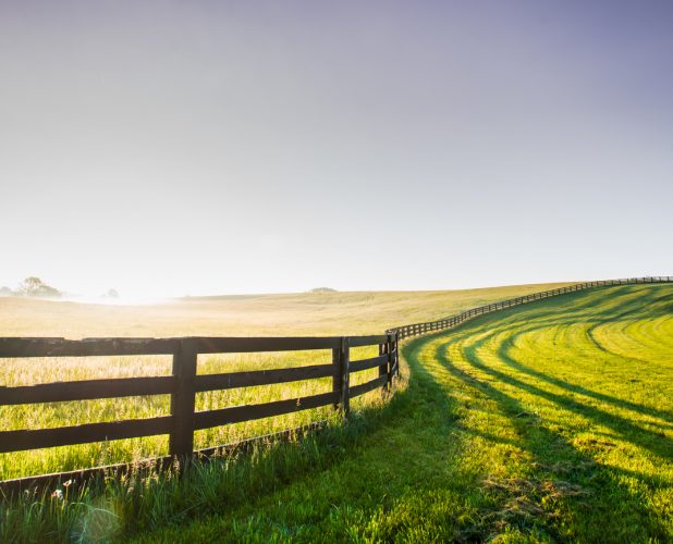 Is Now the Time to Convert Your Farming Partnership to an LLC or S Corporation?