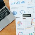 Economic Issues in IEEPA Tariff Duty Rebate Cases