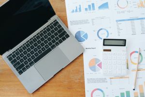 Economic Issues in IEEPA Tariff Duty Rebate Cases