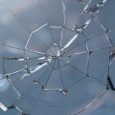 D.C. Circuit Upholds Jury Damages Award to GSE Shareholders