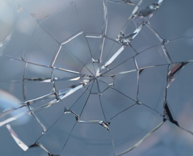 D.C. Circuit Upholds Jury Damages Award to GSE Shareholders