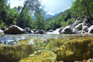 When Copyright Claims Hit the Stream: DMCA Lessons for Live-Streamers and Their Counsel