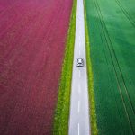 Agentic AI and the Emerging Liability Gap: What Businesses Should Be Doing Now