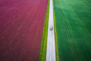 Agentic AI and the Emerging Liability Gap: What Businesses Should Be Doing Now