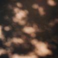 Before Bankruptcy: Algorithmic Shadow Insolvency