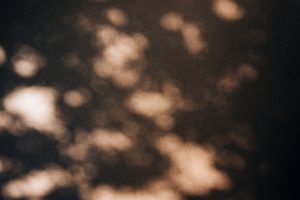 Before Bankruptcy: Algorithmic Shadow Insolvency